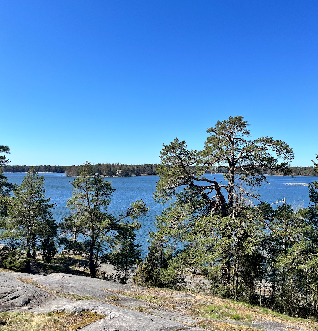 kesä3.png